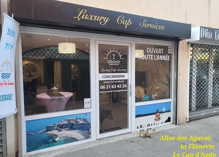 Apartman Studio, Terrasse Et Piscine, Proche Centre Et Plages *